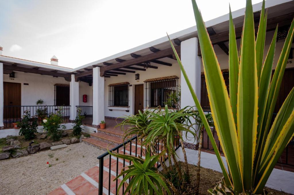 Hacienda Puerto Conil Conil De La Frontera Exterior foto
